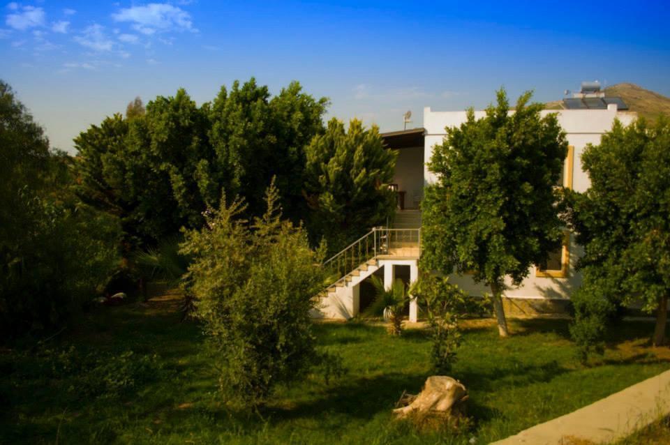 Alfa Apartments Bodrum Exterior photo